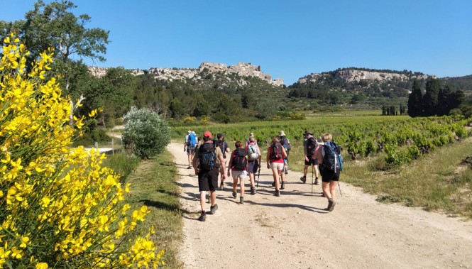 Groupe de randonneurs en marche sur un chemin au milieu des vignes dans les Alpilles avec les ruines des Baux-de-Provence en arr