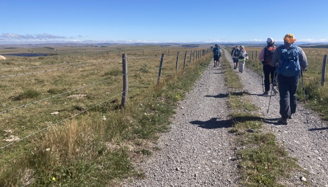 Groupe de randonneurs en Aubrac