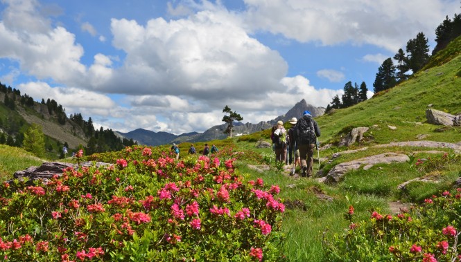 Randonnée dans la Vallée de la Clarée