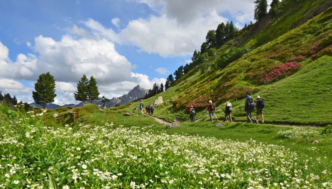 Vallée de la Clarée
