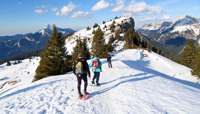 Raquettes en Chartreuse