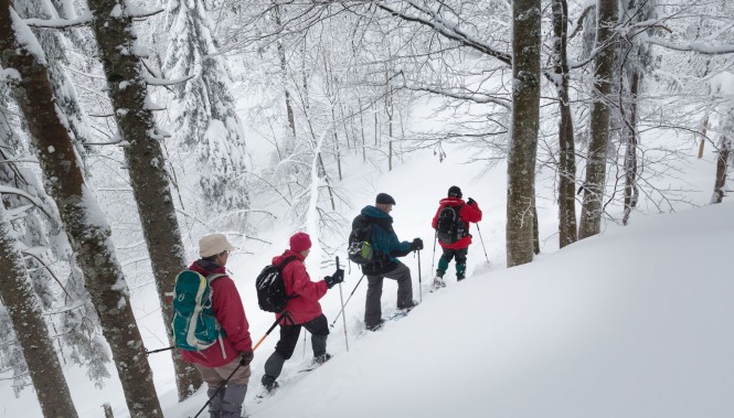 groupe de randonneurs dans une forêt enneigée du Jura