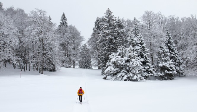 Randonnée en raquettes dans une forêt enneigée du Jura 