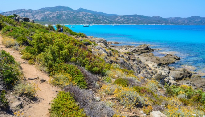 Randonnée entre la plage du Loto et la plage de Saleccia, désert des Agriates 