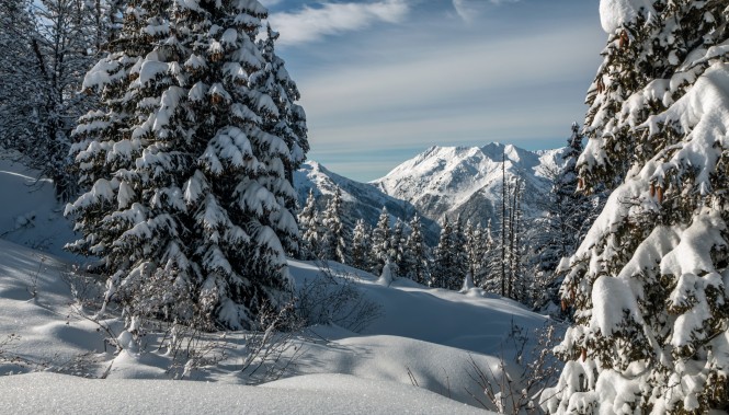 Forêt et sommets enneigés du Beaufortain dans les Alpes