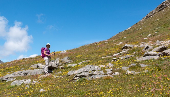 Vallée du Lauzanier