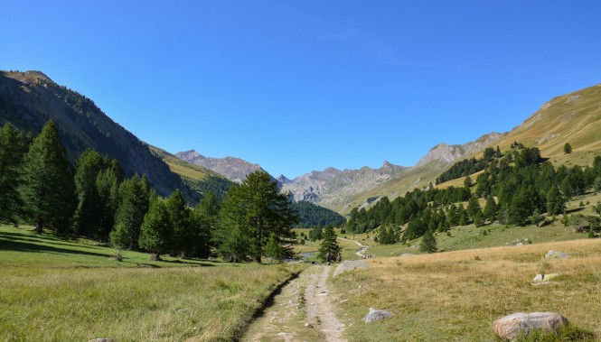 Vallée du Lauzanier