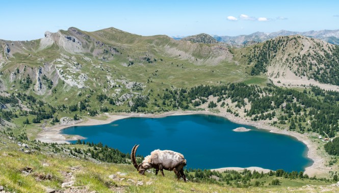 Lac d'Allos