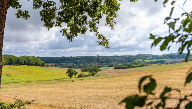 Campagne Gersoise près de La Romieu 