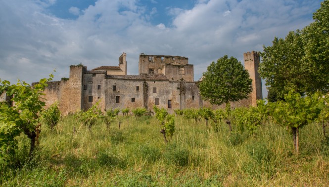 Cité médiévale de Larressingle dans le Gers entourée de vignes 