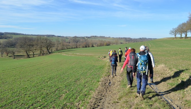 Groupe de randonneurs dans la campagne du Gers 