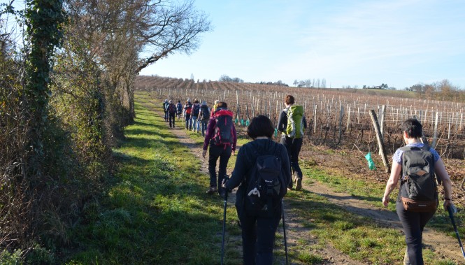 Groupe de randonneurs dans la campagne du gers 