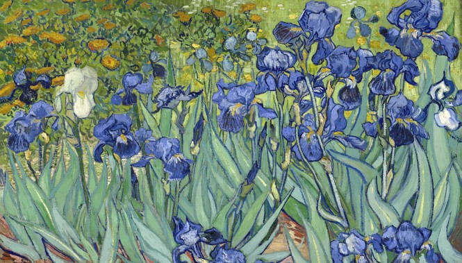 Tableau Les Iris de Van Gogh peint à Saint Rémy de Provence dans les Alpilles 