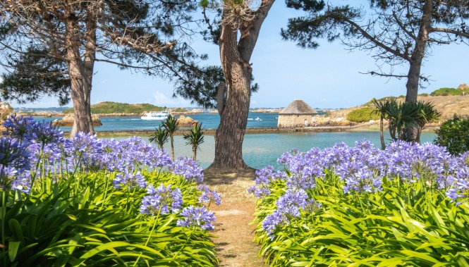 Ile de Bréhat