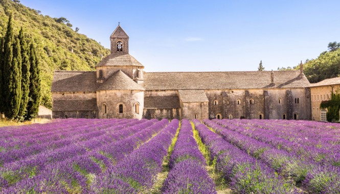 Abbaye de Sénanque