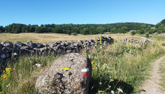 Chemin de randonnée Aubrac 