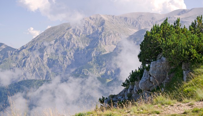 Parc National de la Majella dans les Abruzzes 