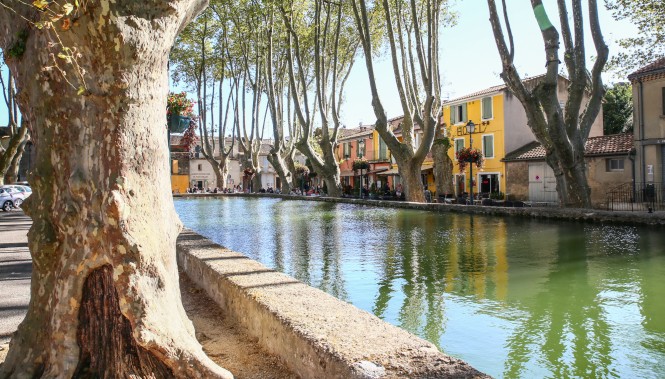 Bassin de Cucuron et platanes centenaires au cœur du Luberon lors d’une randonnée en Provence