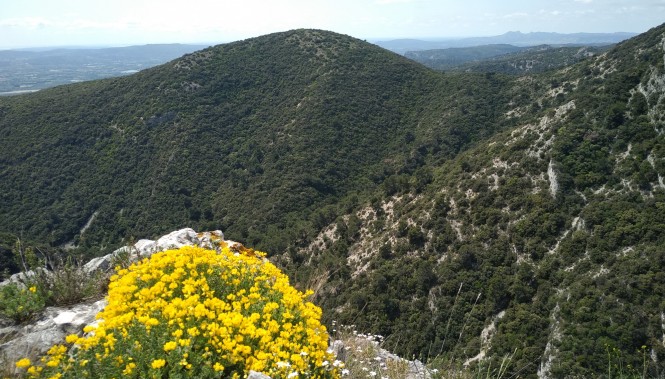 Piémont du Luberon : randonnées et nature provençale