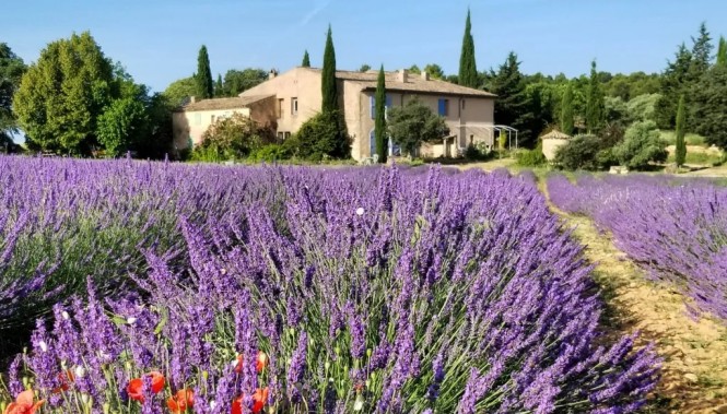 Mas de Provence