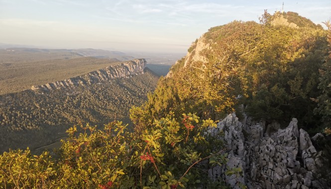 Falaises de la Montagne de l'Hortus