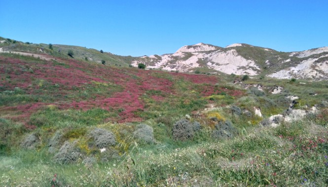 Les Calanches de Pisticci à Craco Printemps