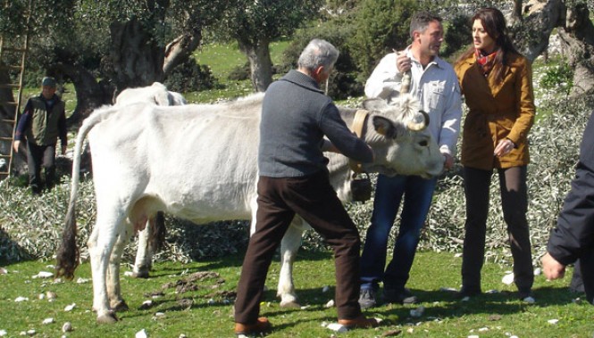 Transmission Père et Fils dans le Gargano