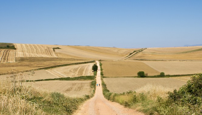 Les plateaux de Castille