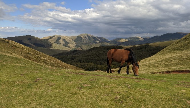 Cromlech de Okabe, Béarn