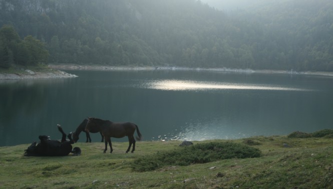 Lac de Bious Artigues