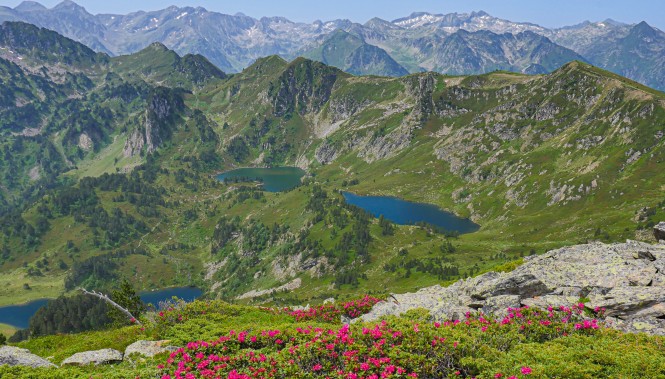 Etangs de Rabassoles