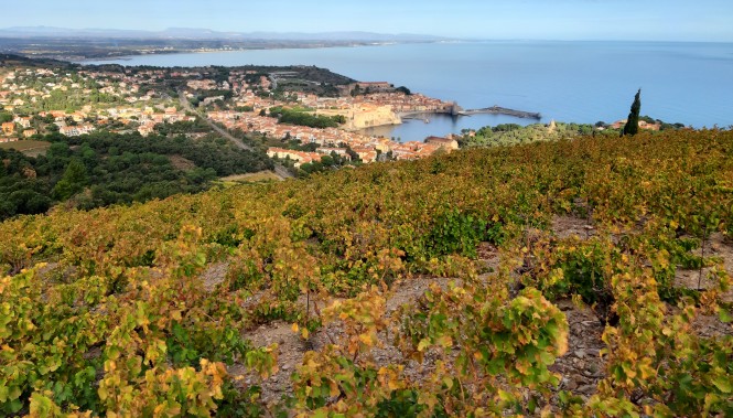 Vue sur Collioure