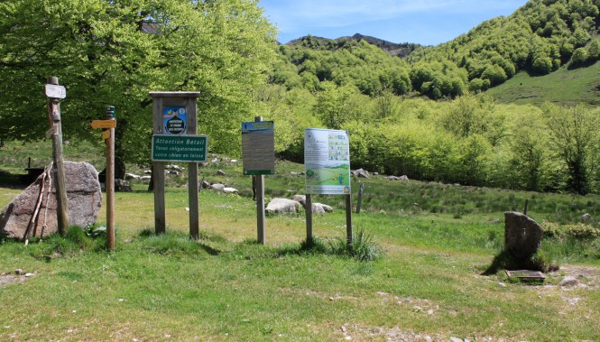 Plateau de Coumebière