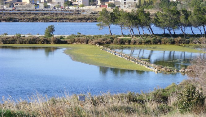 Randonnée Narbonne-Carcassonne