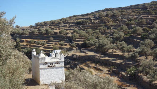 Pigeonnier et Oliveraies à Sifnos