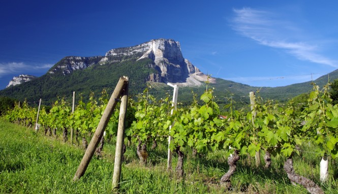 Vignobles de Savoie