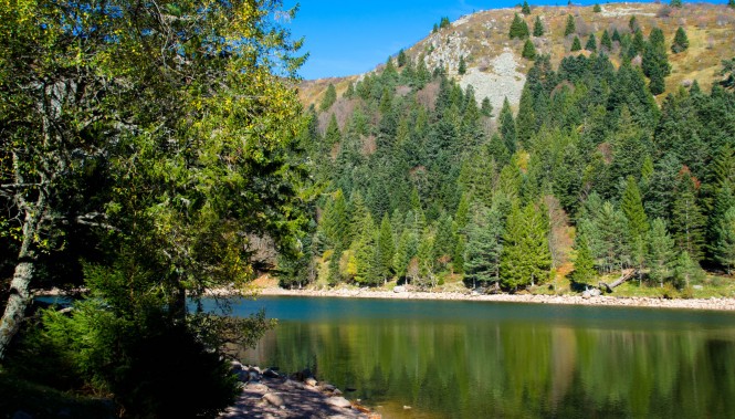 Lac de forlet dans les Vosges 