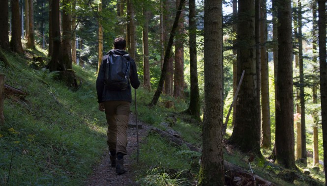 randonneur dans une forêt dans les Vosges 