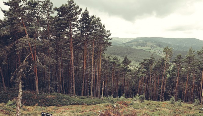 Collet du linge, Alsace, Lac Blanc 