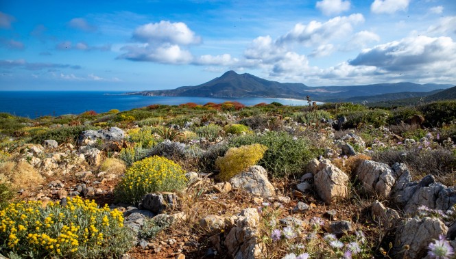 Paysage de randonnée en Sardaigne à Buggeru