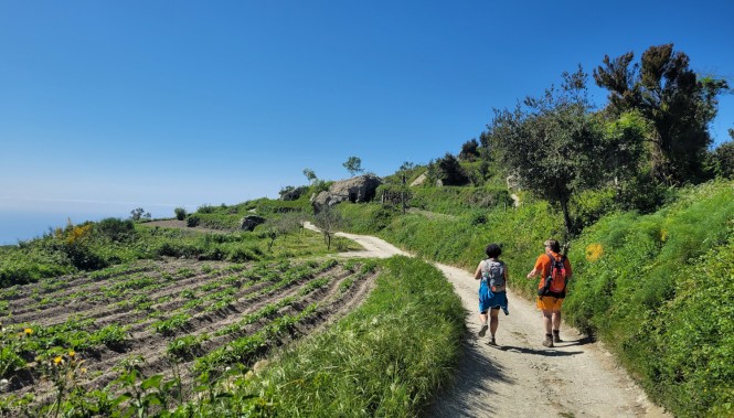 groupe de marcheurs sur les sentiers du Monte Epomeo face à la baie de Naples