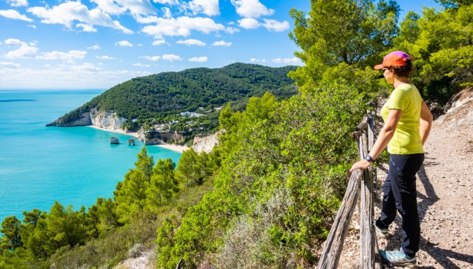 Randonnée jusqu’à la baie 