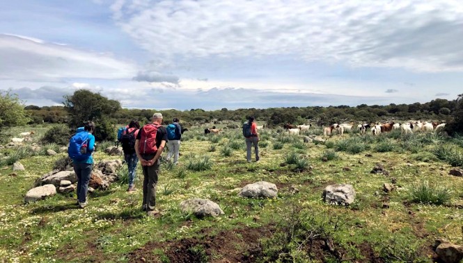 Randonnée en Sardaigne