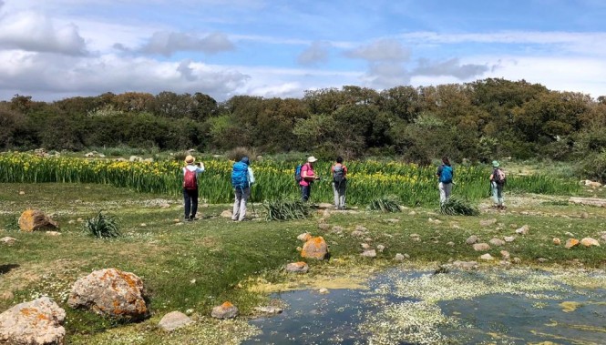Randonnée en Sardaigne