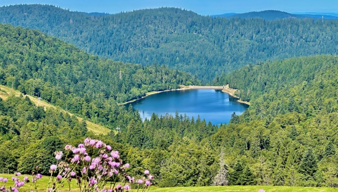 Lac de la Lande Hautes Vosges randonnée