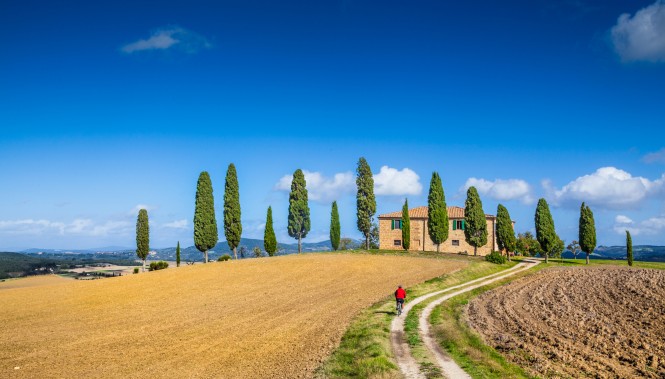 Cycliste sur une route de campagne en Toscane entre cyprès et collines sur un itinéraire à vélo
